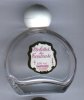  Violette de toulouse 16 ml vide de Berdoue 