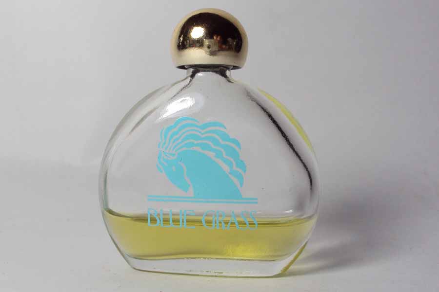 Blue Grass Parfum 6 ml vide  de Arden Elizabeth 